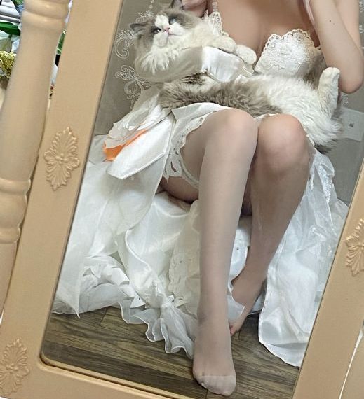 花惜芷免费观看全集电视剧高清版_高清免费观看超清
