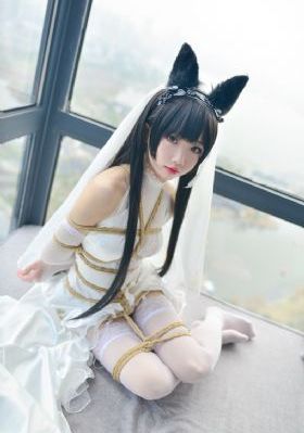 藤沢安奈_高清版完整版未删减